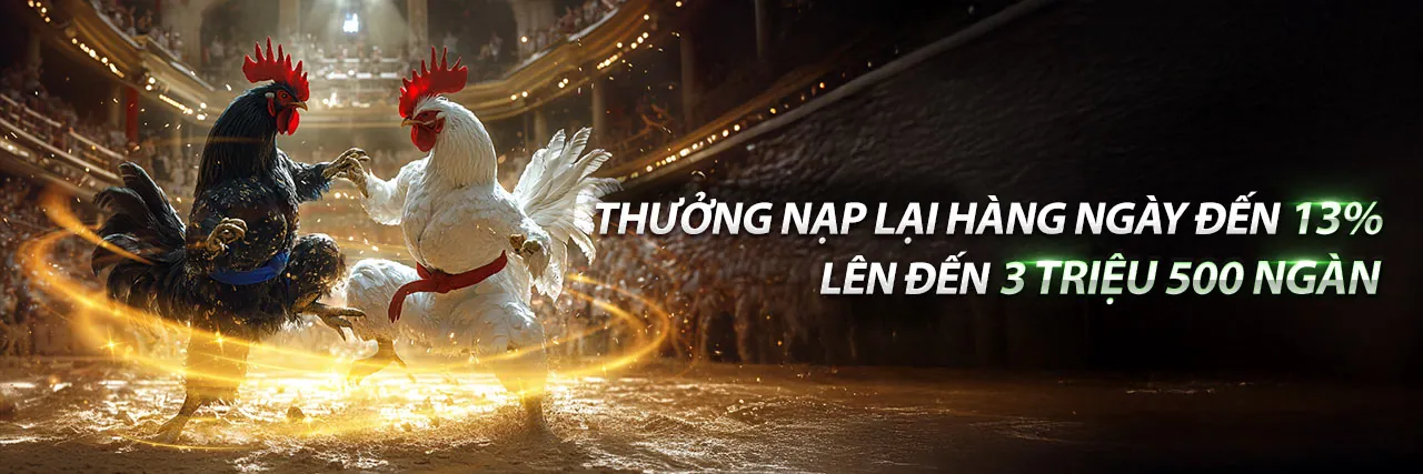Sân đá gà vuaclub nhà cái với không khí sôi động